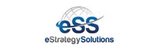 eStrategy Solutions eStrategy Solutions